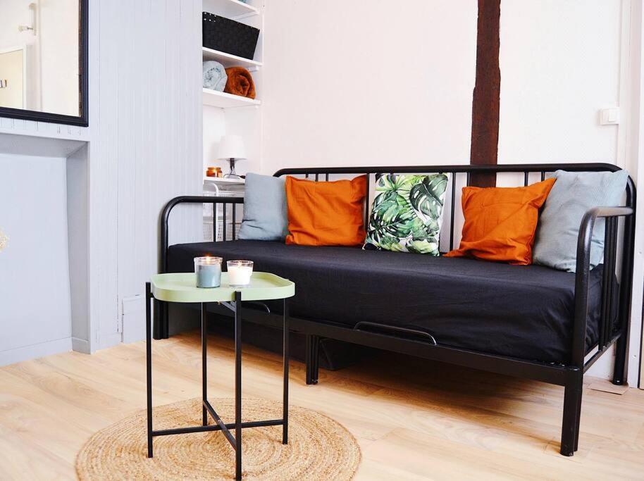 Superbe Studio Au Centre D'Orleans Apartment ภายนอก รูปภาพ